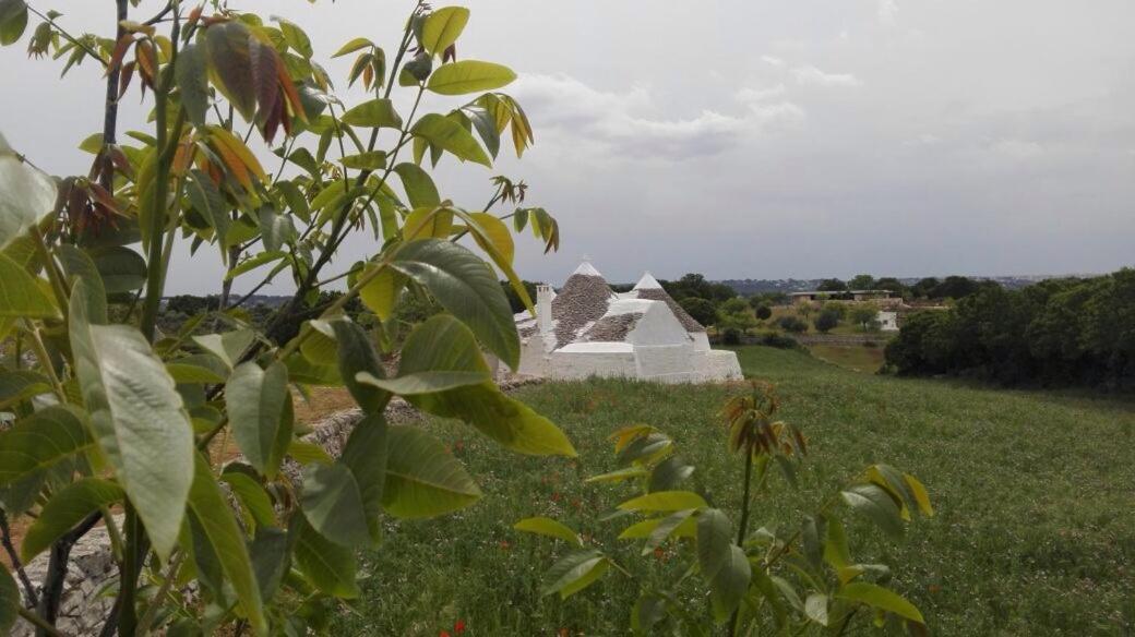 Borgo Trulli 1789 Bed & Breakfast Ostuni Eksteriør bilde
